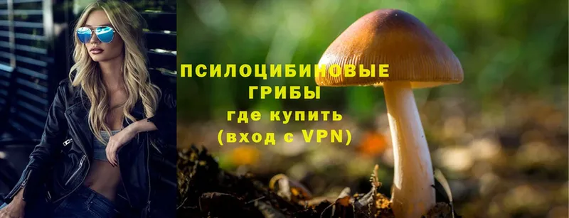 Галлюциногенные грибы MAGIC MUSHROOMS  Закаменск 